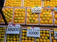 아빠는 농부다 승환이네 농장