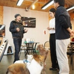 네이처애견훈련학교