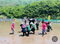 멘토자연어린이집