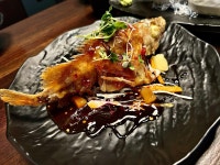 연우참치