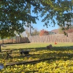 네이처애견훈련학교