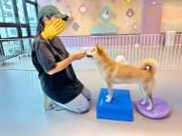 놀러왔댕
