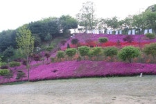 창진산장휴게소