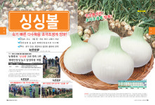 김스튜디오