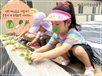 아름드리유치원