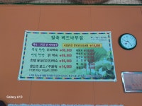 버드나무집