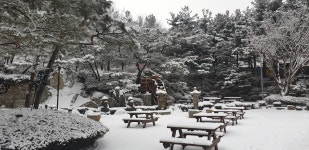 창진산장휴게소