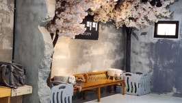 윤앤퍼피 애견유치원&애견호텔&애견훈련