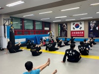 와우정무합기도