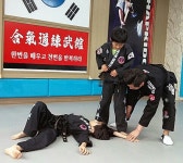 와우정무합기도