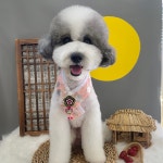 보떼독