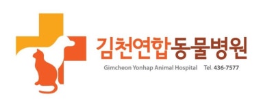 김천연합동물병원