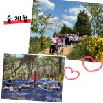 해바라기몬테소리스쿨어린이집