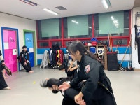 와우정무합기도