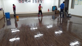 에코유