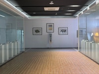 수성대학교 안경박물관