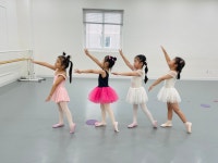 체케티발레무용학원