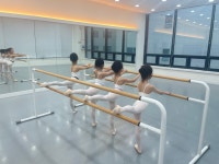 체케티발레무용학원