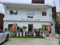 고양이미용호텔미오 수원점