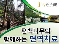 엘 앤더슨 병원