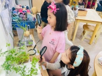 서원유치원
