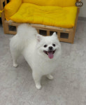 라미살롱