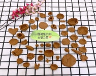 사랑유치원