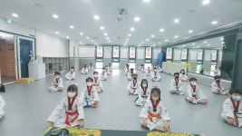 푸르미르태권도