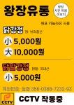 왕장유통
