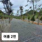 옥화포시즌캠핑장