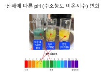 충주당일도정쌀집