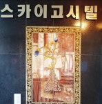 스카이고시텔