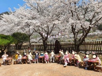 꽃내음풀내음해돋이유치원