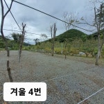 옥화포시즌캠핑장