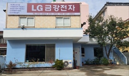금강전자