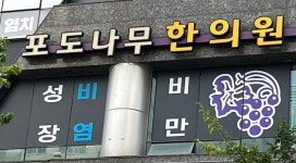 포도나무한의원