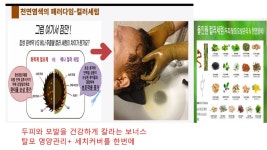 큐(Q)사랑천연염색두피관리전문샵 | 봄두피관리 천연염색
