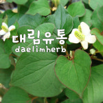 대림유통