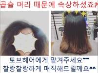 토브헤어