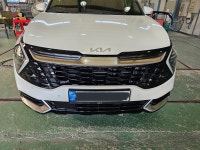 찐모터스