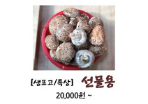 사포표고농장