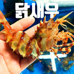 선장과아들수산
