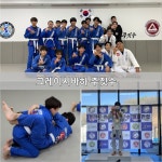 국술원맹호합기도 모현점