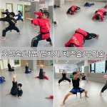 국술원맹호합기도 모현점