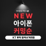 KT 다올 당곡사거리점