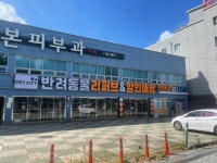 펫시티