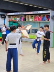 태권도고수회 국가대표태권도장