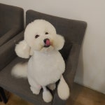 랄라몽