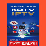 제주네트웍스
