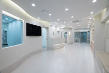 다정한동물병원